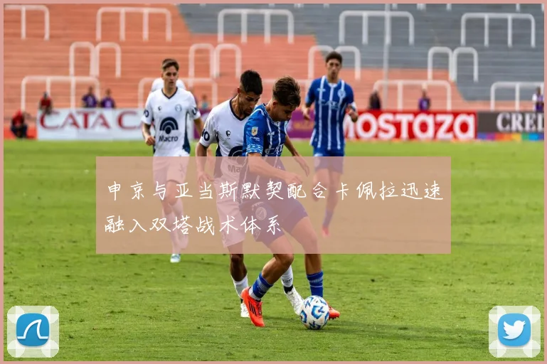 申京与亚当斯默契配合卡佩拉迅速融入双塔战术体系