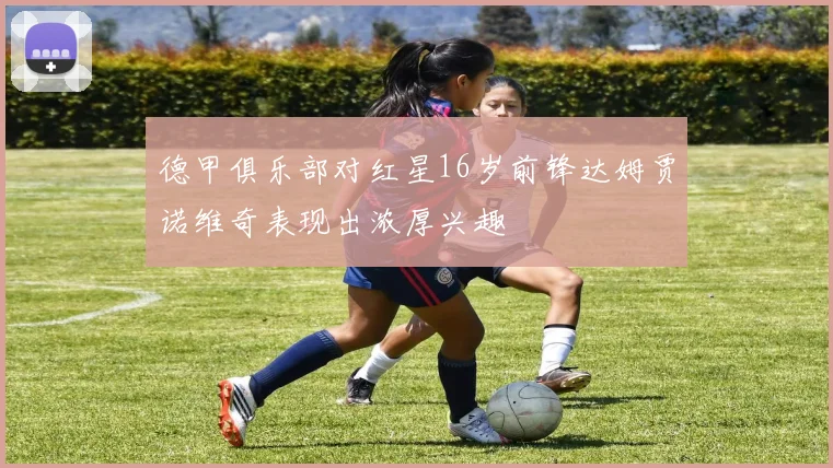 德甲俱乐部对红星16岁前锋达姆贾诺维奇表现出浓厚兴趣